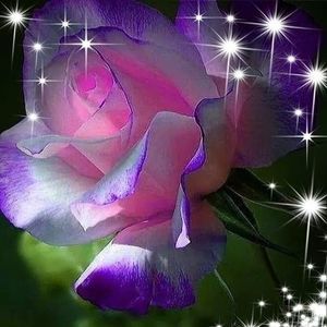 Meet your Posher, Deb